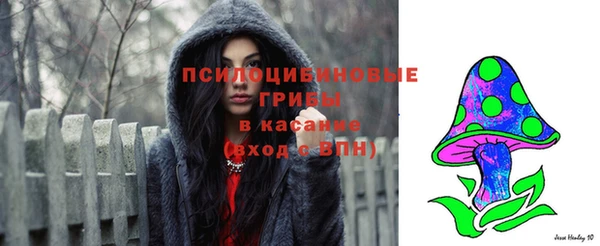 прущий лед Бронницы