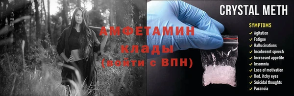 дмт Бородино