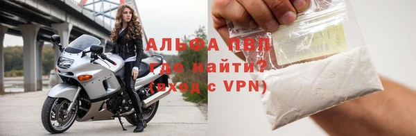 дмт Бородино
