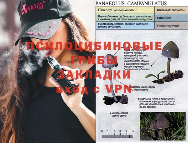 a pvp Каменногорск
