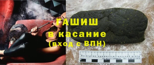 дмт Бородино